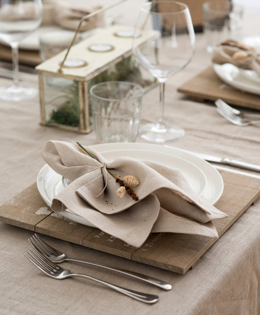 What a Host Home: Linen Napkin Set