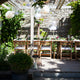 Creating a Stunning Outdoor Wedding Table Setup with Vibrant Colours: A Perfect Harmony of Elegance and Nature