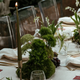 Wedding Tablescape 2025: Blending Nature into a Disruptive Design