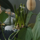 How to Style a Rustic Easter Tablescape with a Black and Green Palette