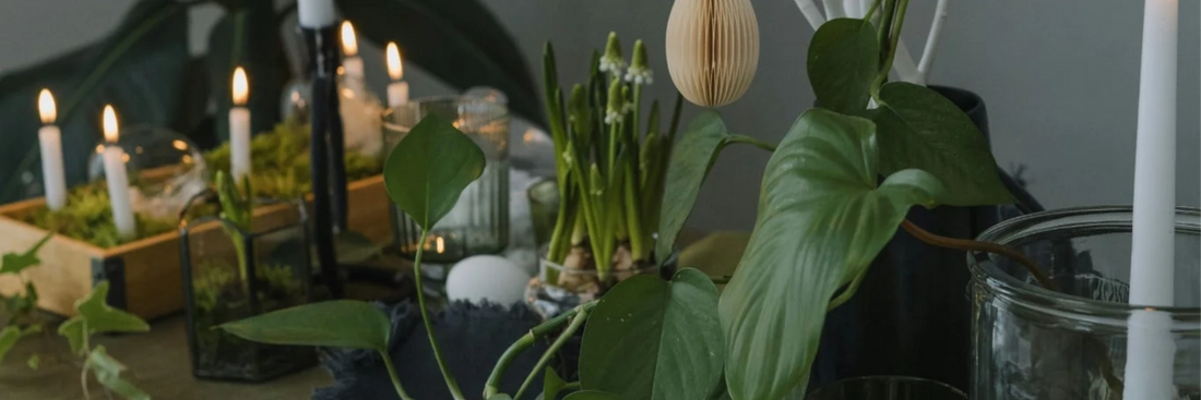 How to Style a Rustic Easter Tablescape with a Black and Green Palette
