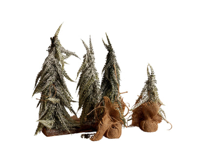 Christmas Decorations: Snowed Green Tree Set from What a Host Home Decor