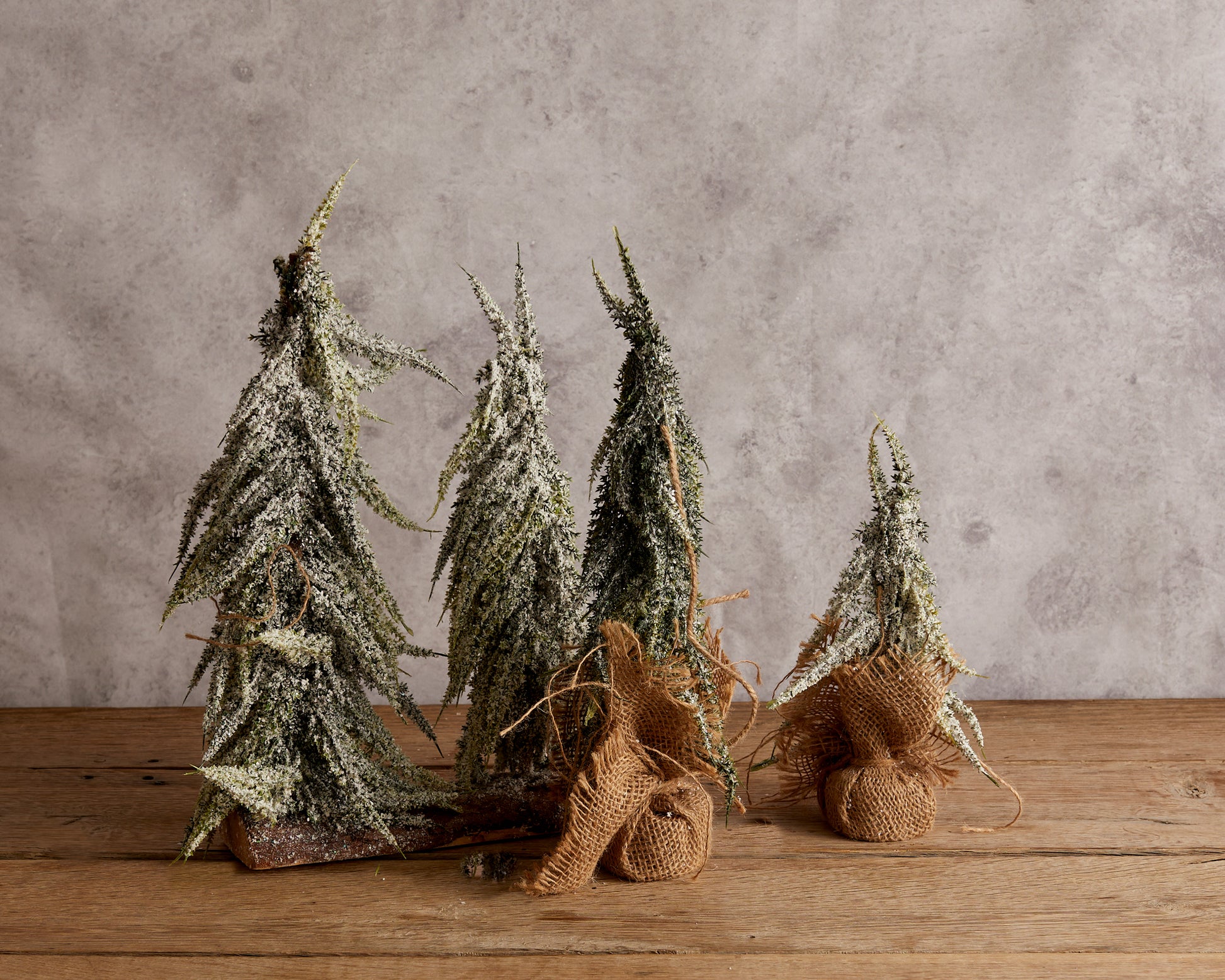 Christmas Decorations: Snowed Green Tree Set from What a Host Home Decor
