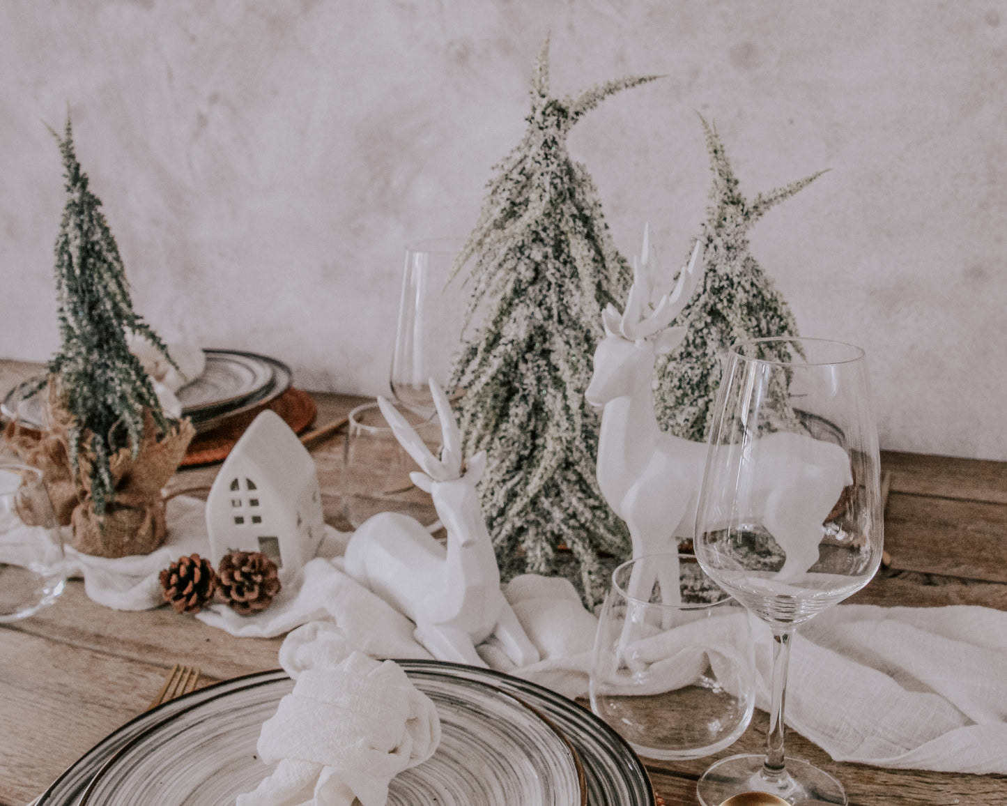 Christmas Decorations: Snowed Green Tree Set from What a Host Home Decor