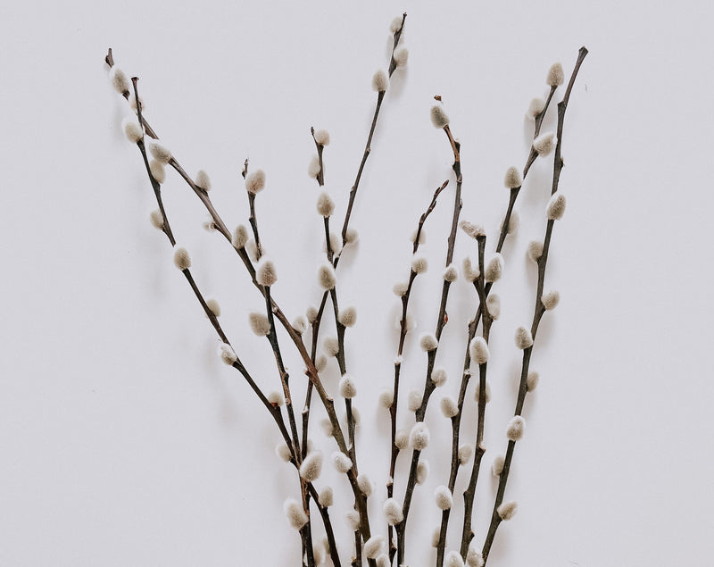 Willow Branches Dried Flowers Bouquet from What a Host Home Decor
