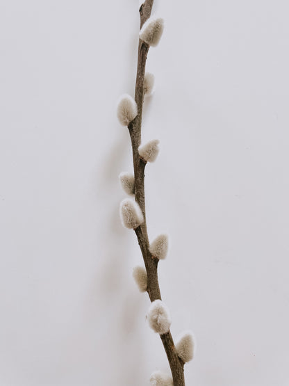 Willow Branches Dried Flowers Bouquet from What a Host Home Decor